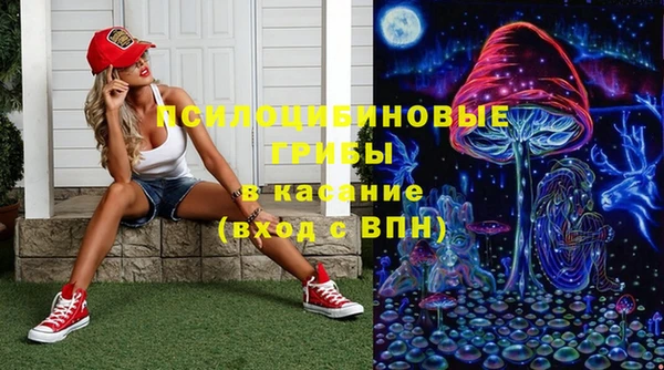 ГАЛЛЮЦИНОГЕННЫЕ ГРИБЫ Киров