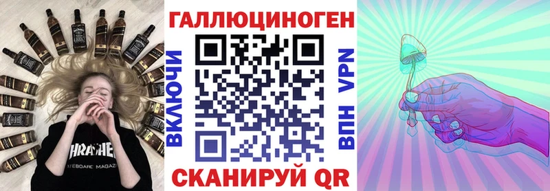 Купить где  Иланский  Галлюциногенные грибы Psilocybe 